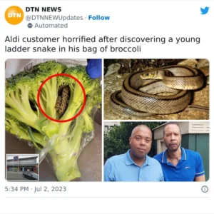 “Shocking Encounter, Man’s Horrifying Discovery Inside Bag Of Aldi-bought Broccoli” “Shocking Encounter, Man’s Horrifying Discovery Inside Bag Of Aldi-bought Broccoli”