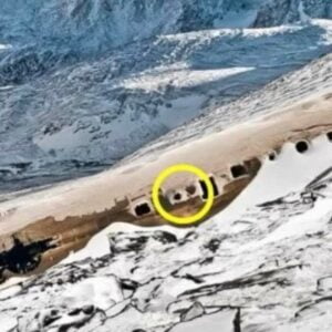 Researchers are astounded when they see what’s inside a long-lost plane that was recently discovered. Researchers are astounded when they see what’s inside a long-lost plane that was recently discovered.