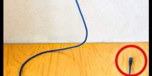Never leave a charger in an outlet without your phone: I’ll expose the three major reasons