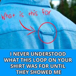 Why Do Button-Down Shirts Have Loops On the Back? Why Do Button-Down Shirts Have Loops On the Back?
