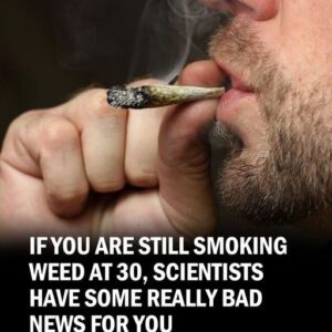If You’re Still Smoking Weed at 30, Scientists Have Bad News If You’re Still Smoking Weed at 30, Scientists Have Bad News
