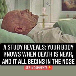 Did You Know You This? Scientists Have Found Evidence That Your Sense of Smell Could Predict Your Time of Death Did You Know You This? Scientists Have Found Evidence That Your Sense of Smell Could Predict Your Time of Death