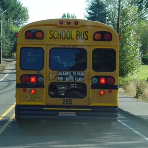 I Saw a Child on the School Bus Hitting the Back Window and Yelling for Help I Saw a Child on the School Bus Hitting the Back Window and Yelling for Help